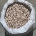 Sugar-beans-50kg-bags