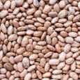 Healthy Brown Pinto Beans with High Fiber and Low Fat Contents, used for Wallpaper Backgrounds. Captured in High Angle View