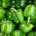 Fresh Green Pepper - P 162.00 per Crate