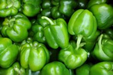 Fresh Green Pepper - P 162.00 per Crate