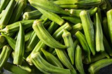 Fresh Okra - P 43.20 per Kg