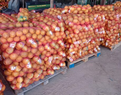 Fresh Oranges
